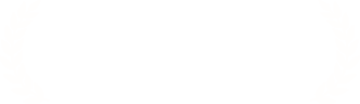 Finalist American Bar Association
